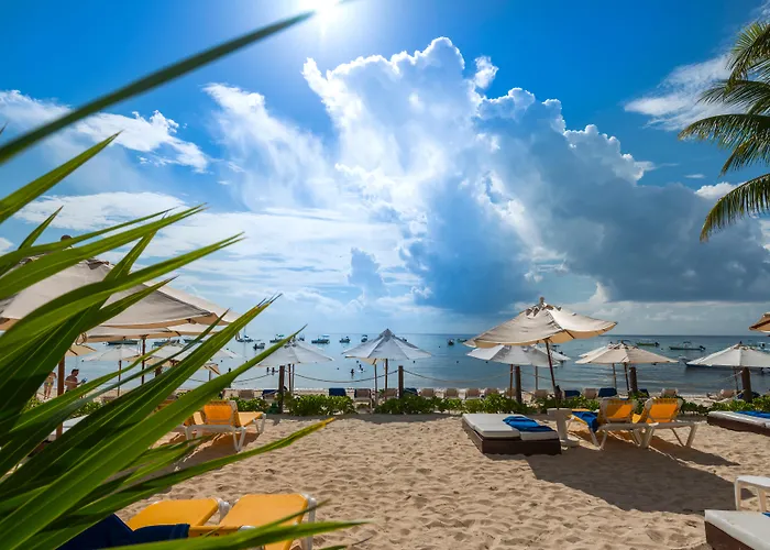 Reef Coco Beach & SpaHotel Playa